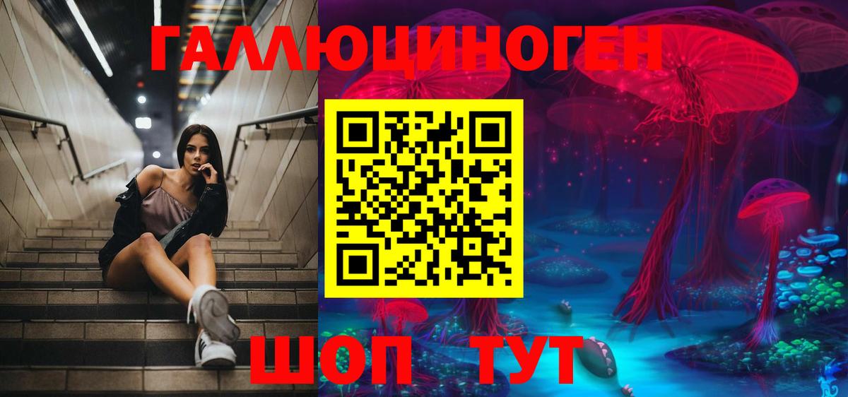 Псилоцибиновые грибы мицелий Джанкой
