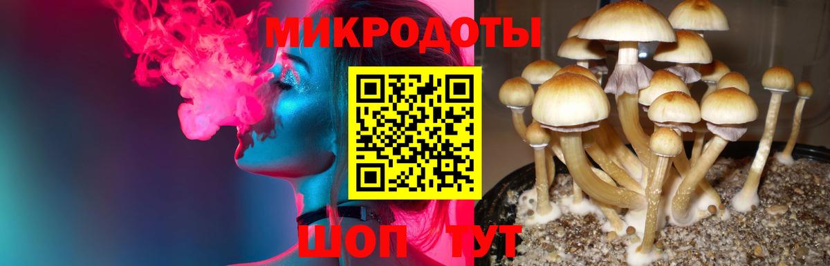 Галлюциногенные грибы Psilocybine cubensis  Вход с VPN  наркота  Джанкой 